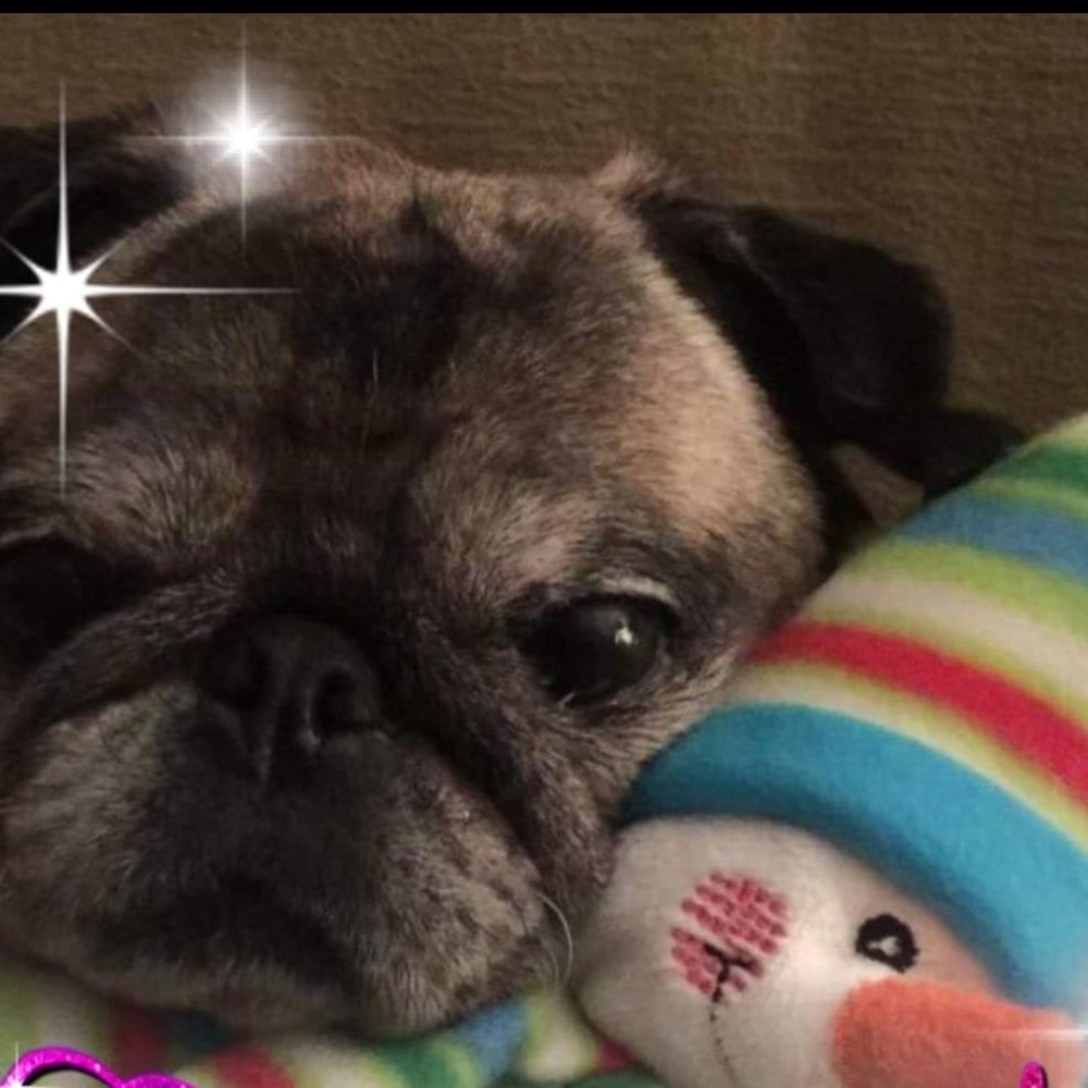 Meet your Posher, Brad